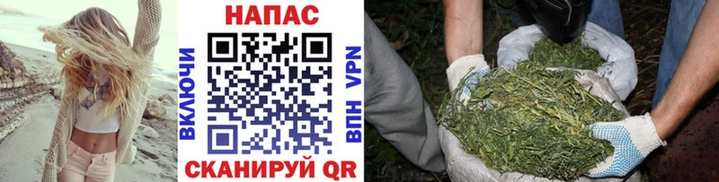 Купить где  Павлово  Бошки Шишки White Widow 